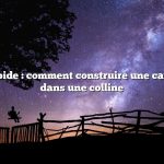 Réponse rapide : comment construire une cave à racines dans une colline